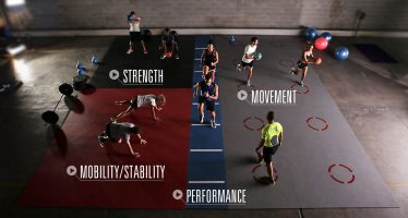 Mondo Fitness Athletic – Solution sol conçue pour le fitness !