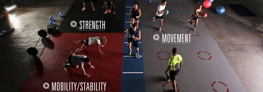 Mondo Fitness Athletic – Solution sol conçue pour le fitness !