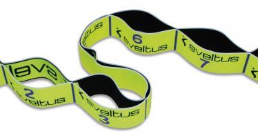 Sveltus