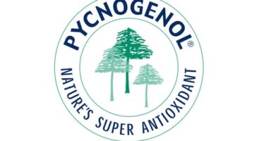 Pycnogenol, un antioxydant 100% naturel pour les sportifs !