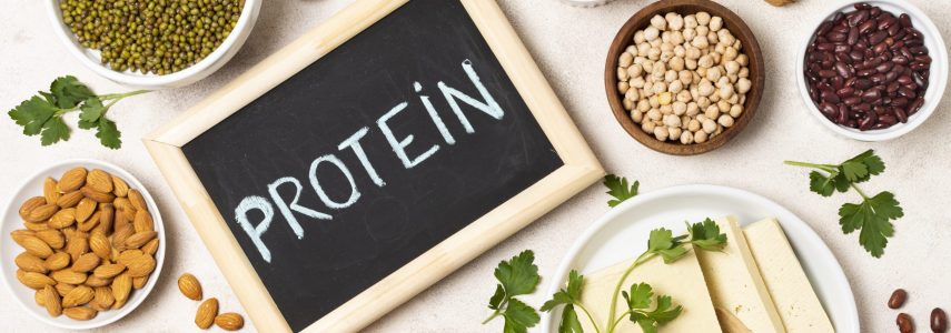 Protéines après 40 ans : une stratégie nutritionnelle indispensable en sport santé